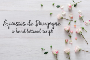 PN Époisses De Bourgogne: A Script Font for Modern Web Design